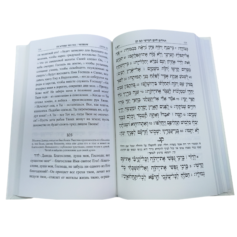 Sefer Tehillim Ogel Yosef Yitzchak with Russian Translation