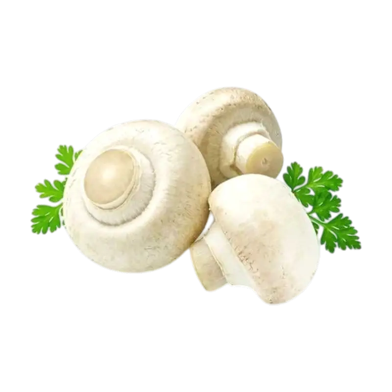 Champignons (White Mushrooms)
