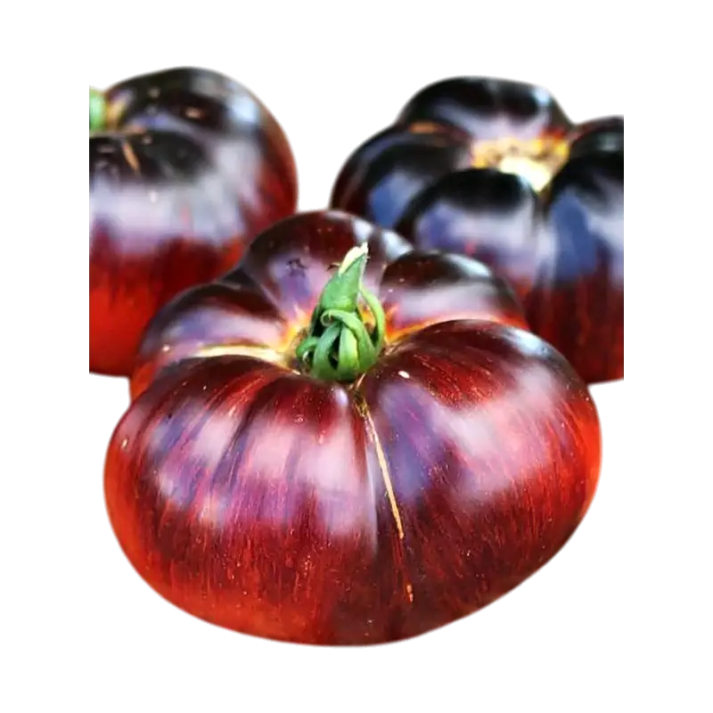 Violet Tomatoes
