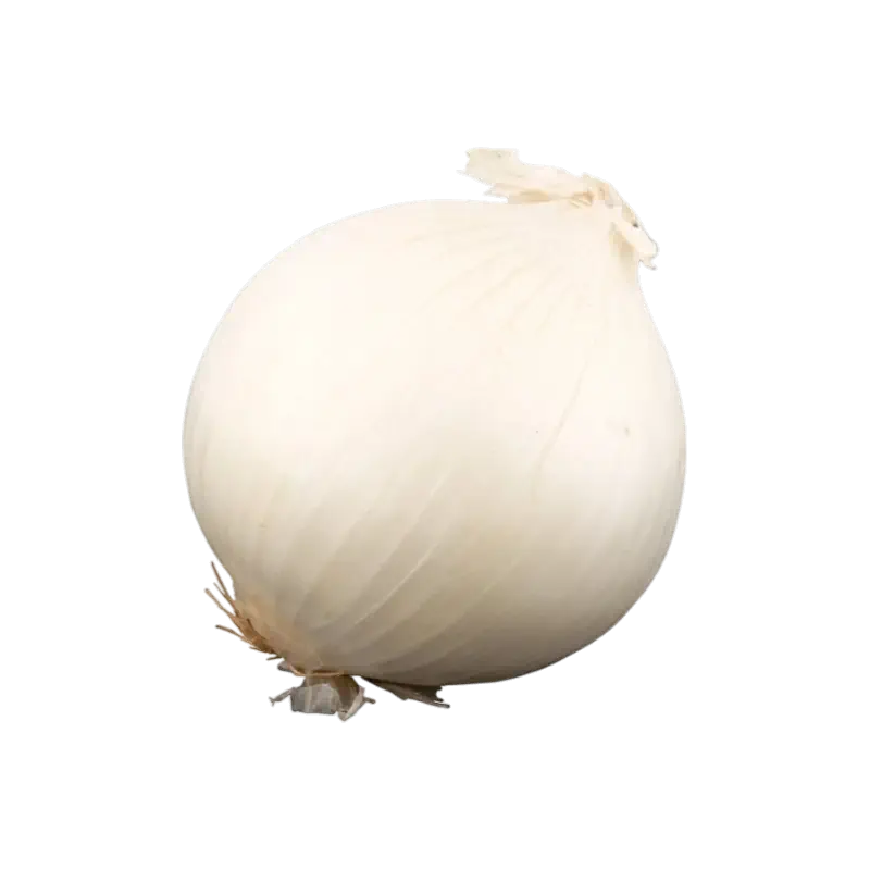 White Onion