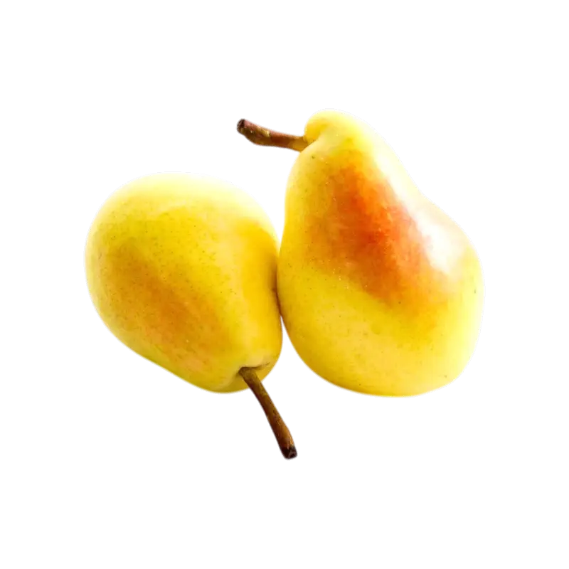 Santa Maria Pears