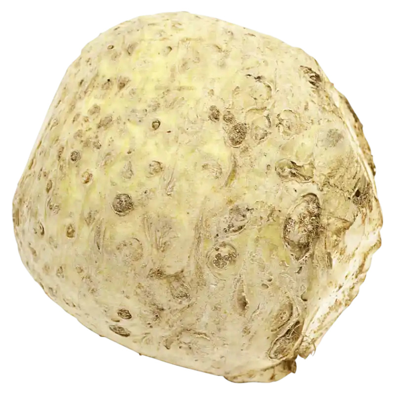 Fresh Celeriac (Celery Root) — Aromatic Root Vegetable 1 kg