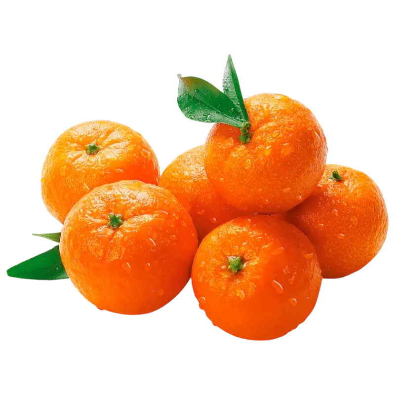 Fresh Mandarins with Leaves — Bio Clementinen 1kg