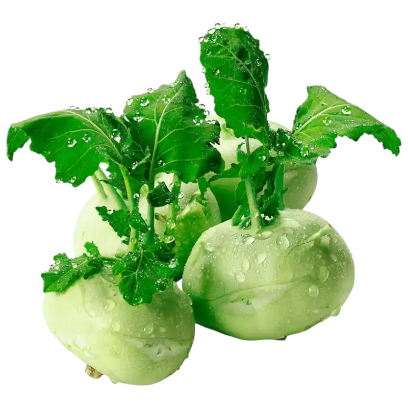 Fresh Kohlrabi — Crisp Green Vegetable 1 piece
