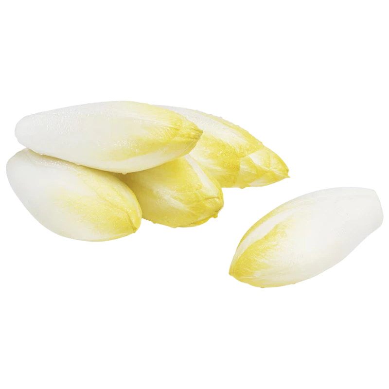 Fresh Belgian Endive — Crisp Bitter Chicory 500g