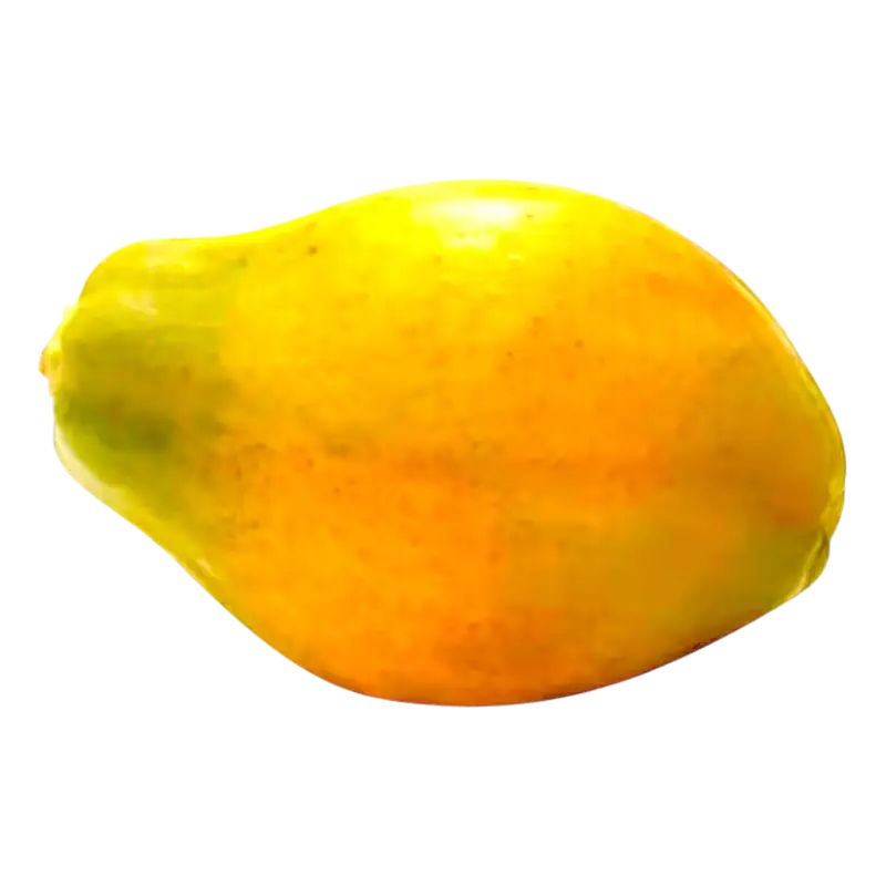 Fresh Papaya — Tropical Exotic Fruit 1unit