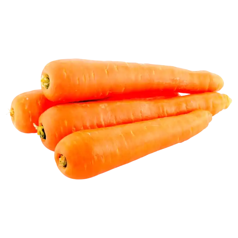 Fresh Bio Carrots — Crunchy Root Vegetable 1 kg