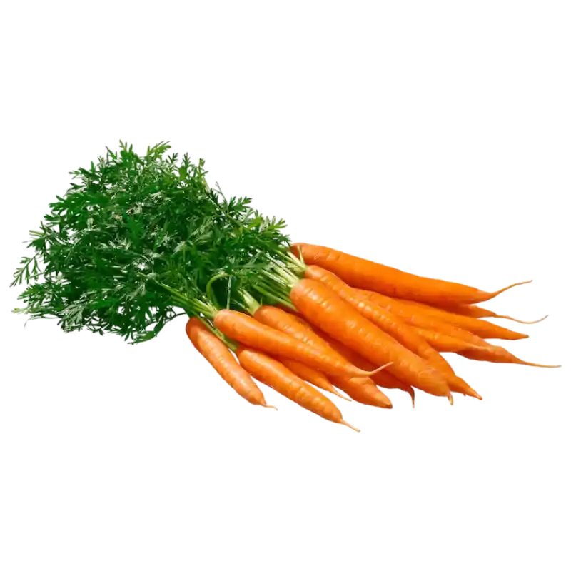 Fresh Carrots with Tops — Garden Bunch Carrots 1 piece