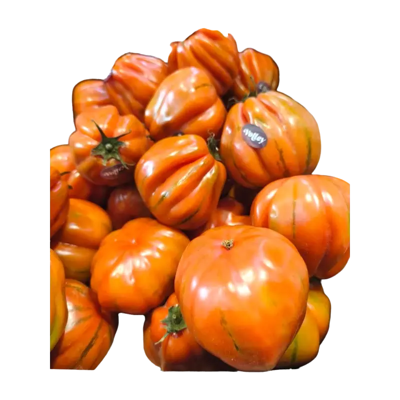 Ribbed Pink Tomatoes (Gerippte Pink)