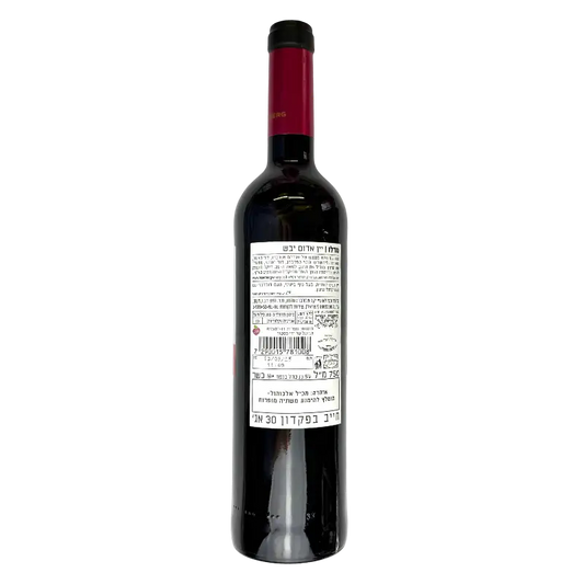 Teperberg Vision Merlot 2024 Dry Red Wine