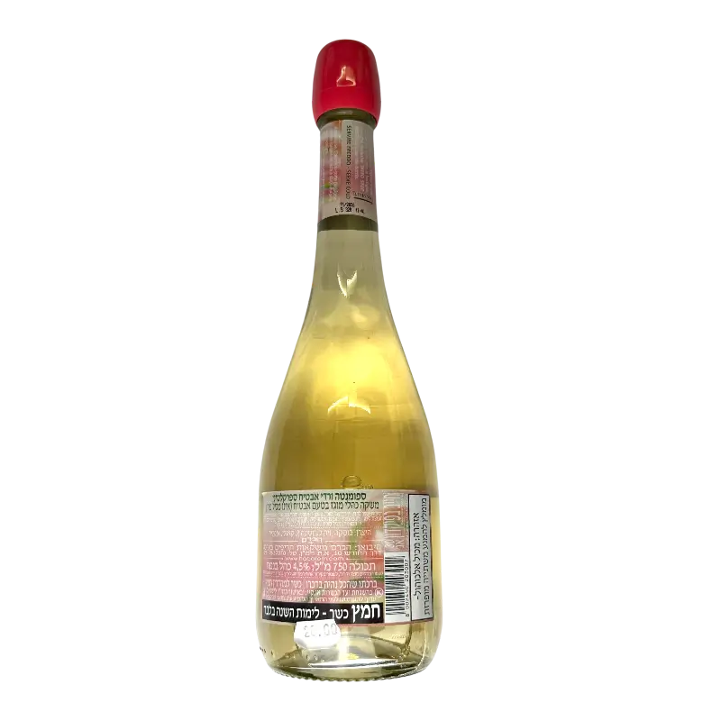 TsB Watermelon Sparkletini Italian Spritz