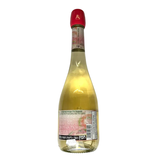 TsB Watermelon Sparkletini Italian Spritz