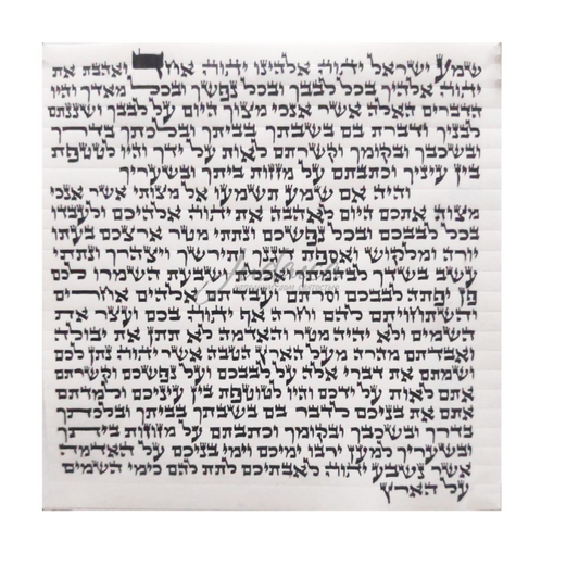 Set Kosher mezuzah 15 cm  with Case