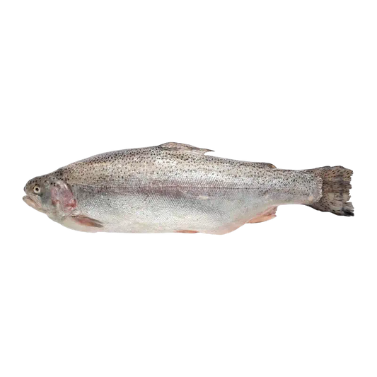 Fresh Trout (Forelle)