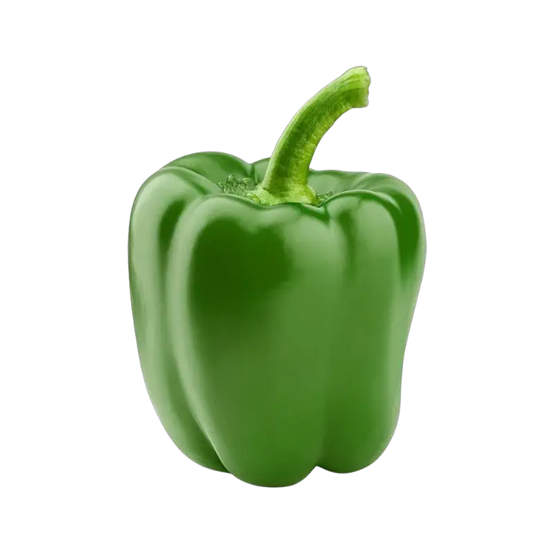 Green Bell Pepper