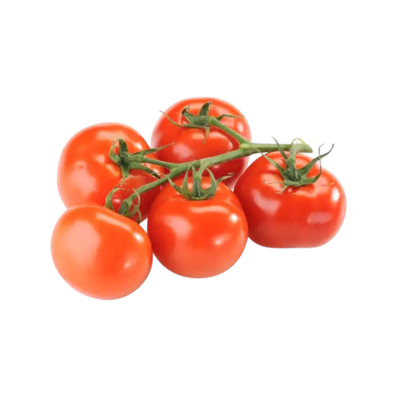 Vine Tomatoes (Strauch Tomaten)