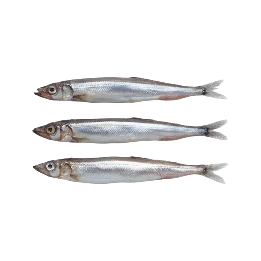 Fresh Capelin (Lodde, Whole)