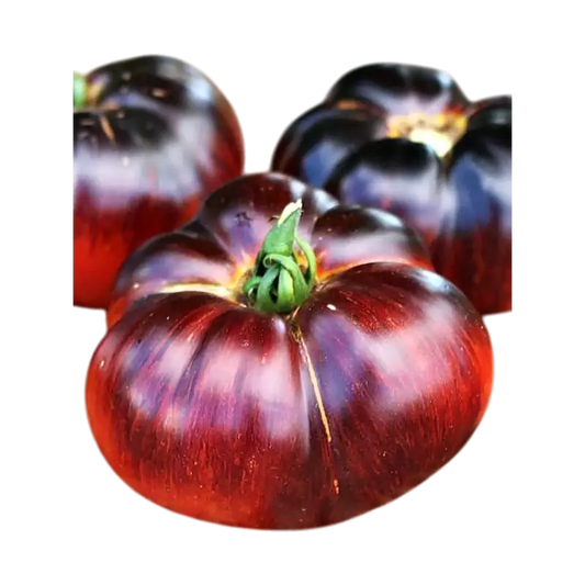 Violet Tomatoes