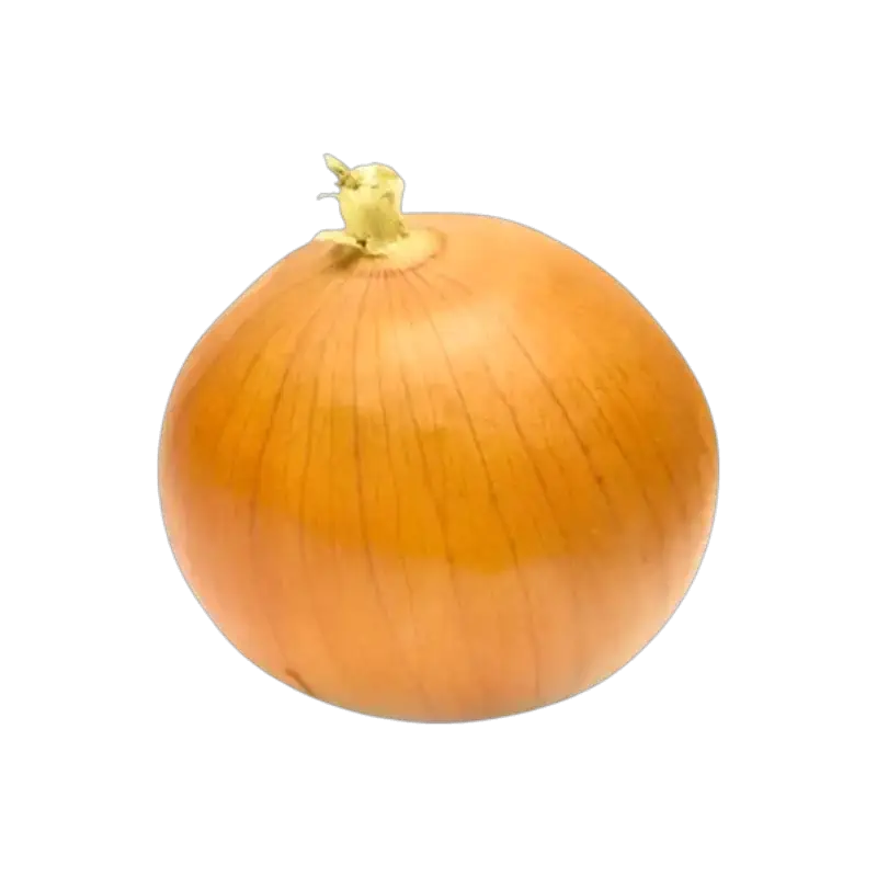 Yellow Onion