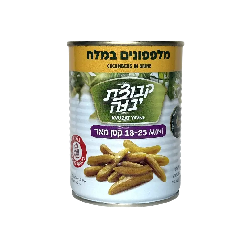 Kvuzat Yavne Mini Cucumbers in Brine 18–25 Size 540g