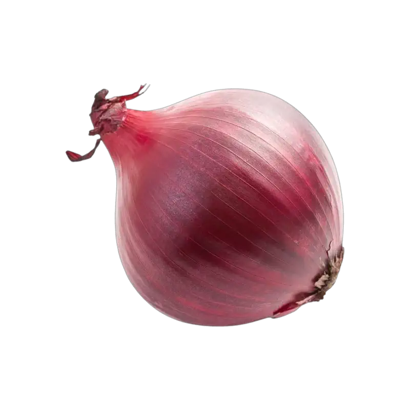 Red Onion