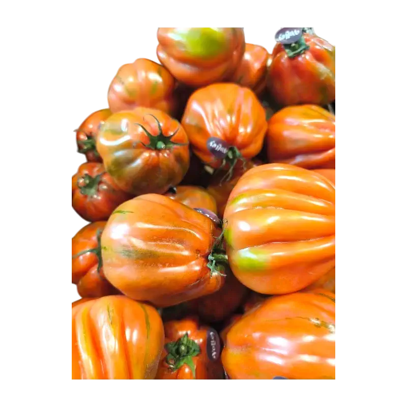 Coeur de Boeuf Tomatoes