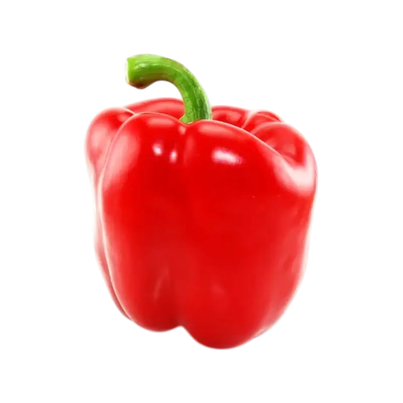 Red Bell Pepper (Paprika Rot)