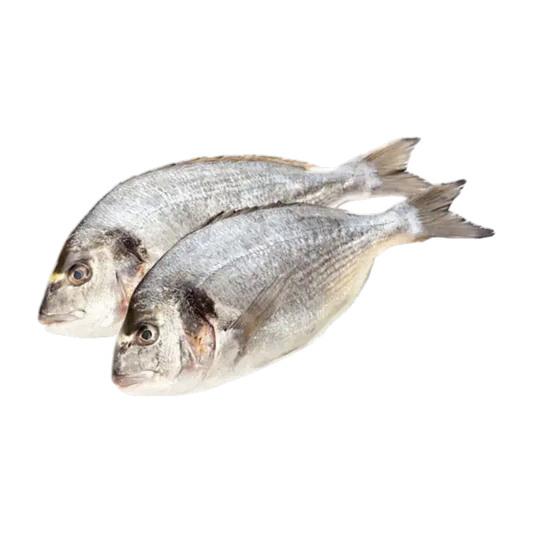 Fresh Dorade Royal (Sea Bream)