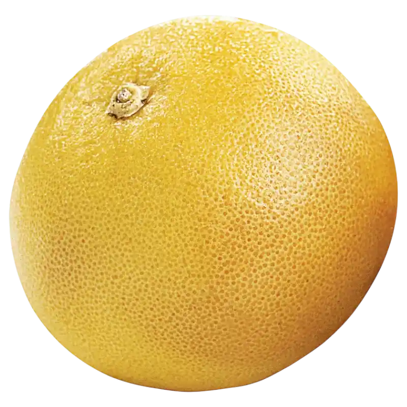 Fresh Grapefruit — Juicy Citrus Fruit 1 unit