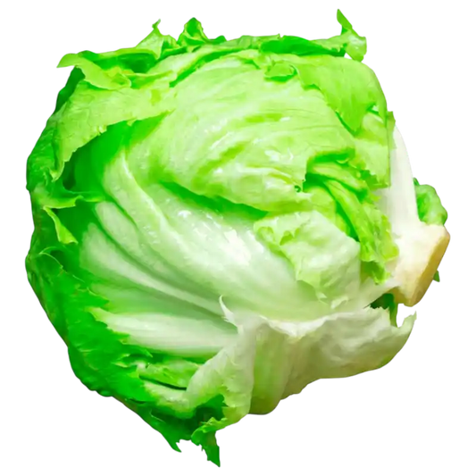 Fresh Iceberg Lettuce — Crisp Head Lettuce  1 piece
