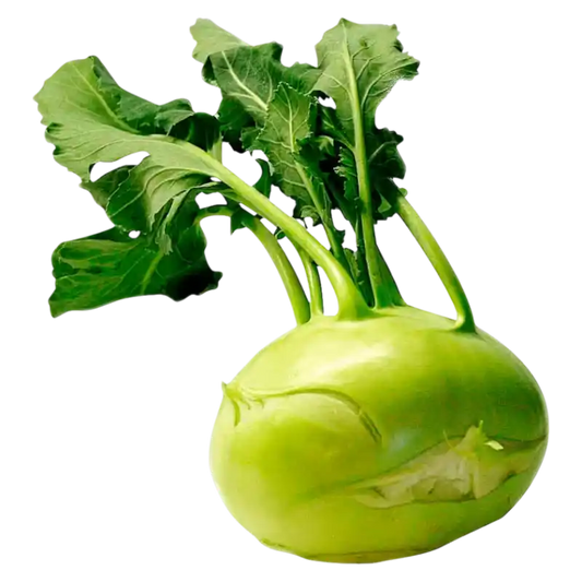 Fresh Green Kohlrabi — Crisp Garden Vegetable 1 piece