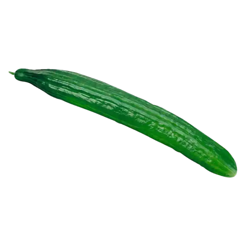 Fresh Green Cucumber — Crisp Salad Vegetable 1 unit