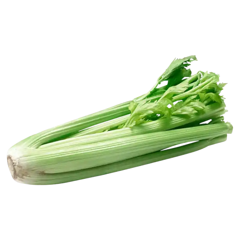 Fresh Celery Stalks — Crisp Green Vegetable 1 piece