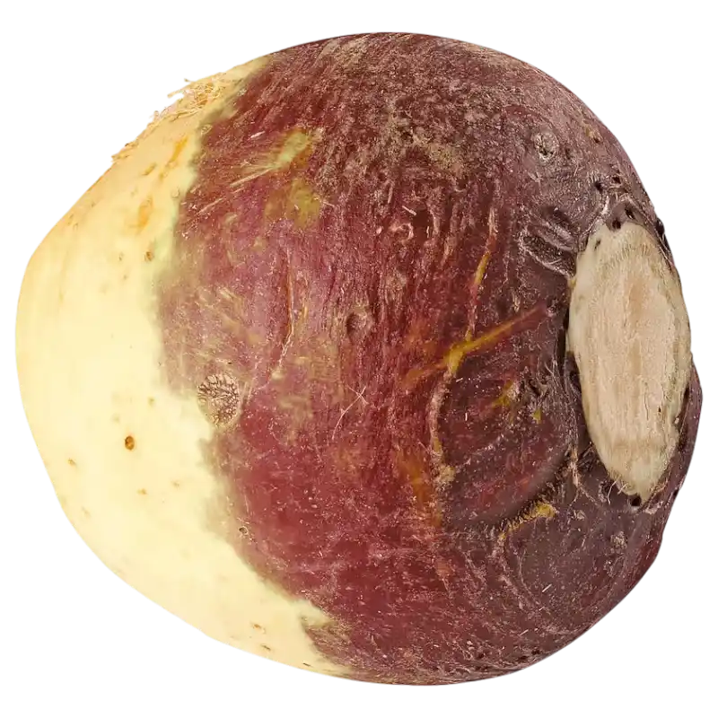 Fresh Rutabaga (Swede) — Hearty Root Vegetable 1 kg