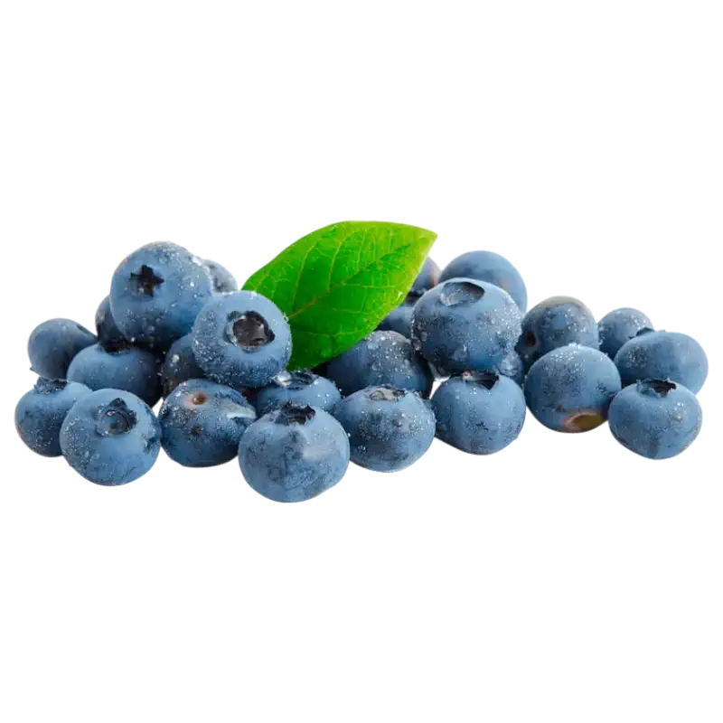 Fresh Blueberries — Premium Berry Fruit 175g