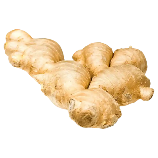 Fresh Ginger Root — Aromatic Spicy Root 100g