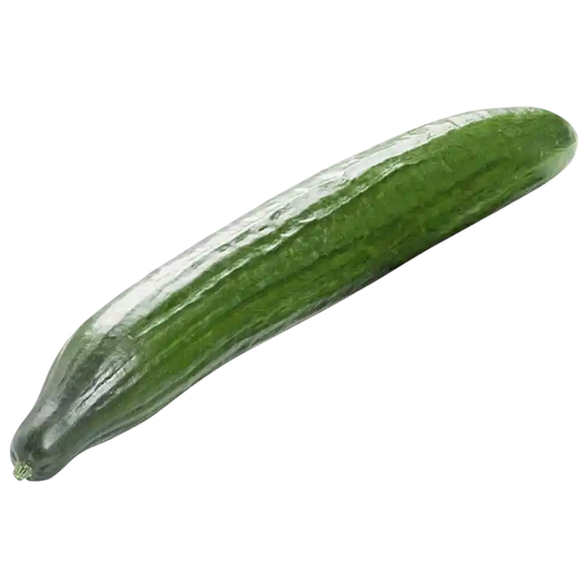 Fresh Long Green Cucumber — Crisp Salad Vegetable 1 unit