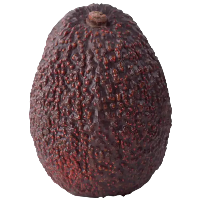 Fresh Hass Avocado — Creamy Exotic Fruit 1 unit