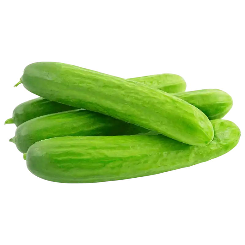Fresh Mini Cucumbers — Crisp Salad Vegetables 1 unit