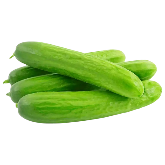 Fresh Mini Cucumbers — Crisp Salad Vegetables 1 unit