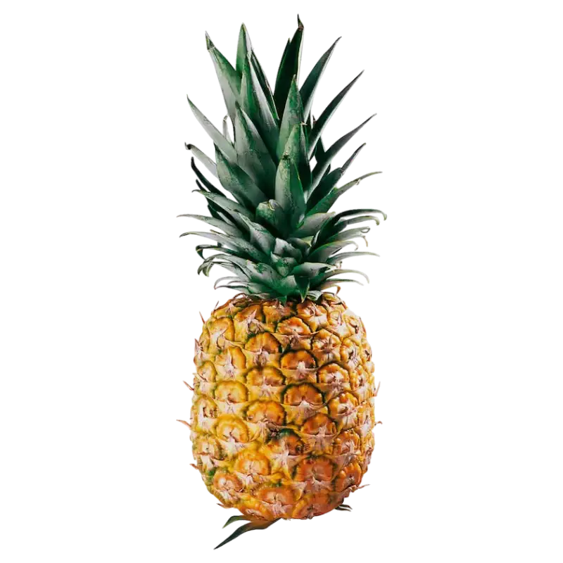 Fresh Whole Pineapple — Tropical Fruit