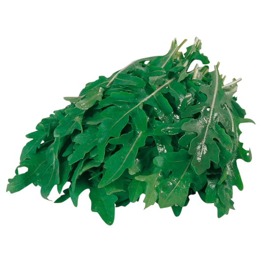 Fresh Wild Arugula — Intense Peppery Greens 125g