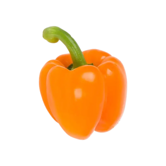 Orange Bell Pepper