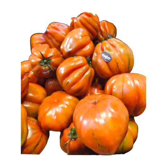 Ribbed Pink Tomatoes (Gerippte Pink)