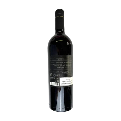 Gvaot Masada 2020 Dry Red Wine