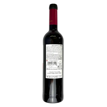 Teperberg Vision Merlot 2024 Dry Red Wine